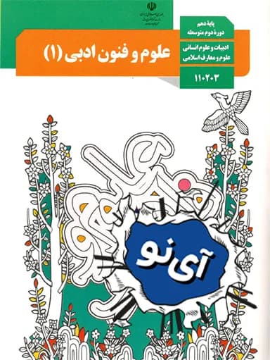 جلد کتاب علوم و فنون ادبی دهم